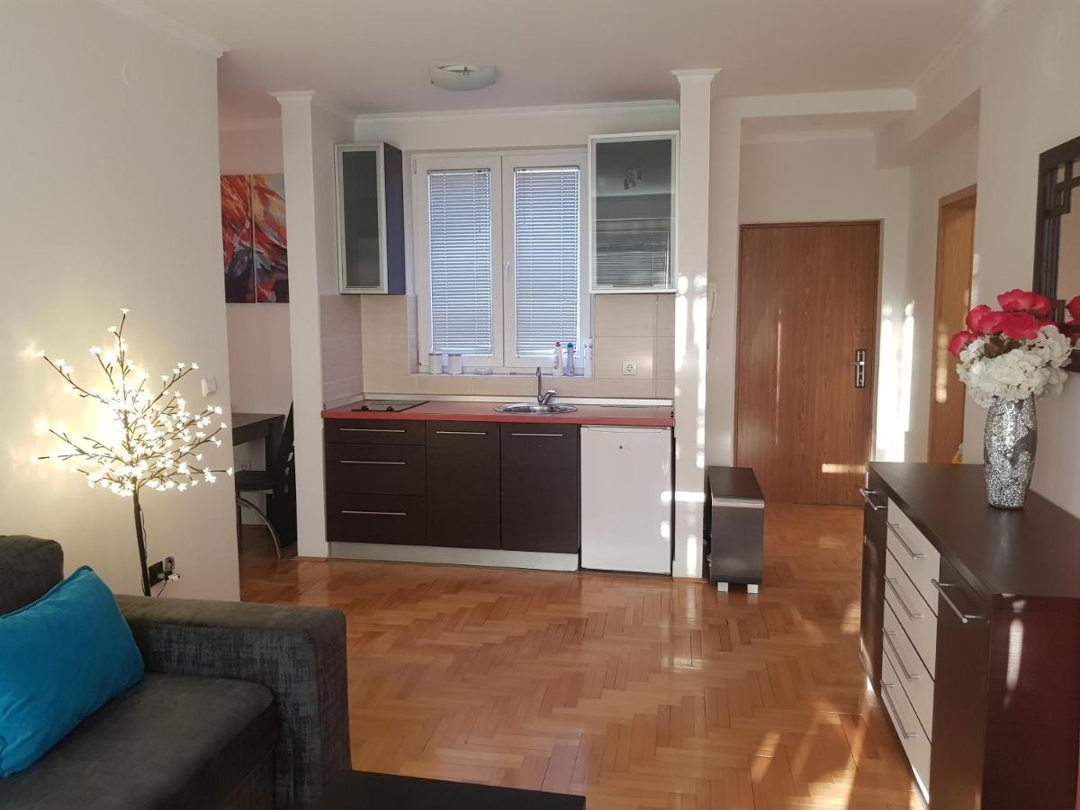 Rajiceva 5- Apartman Sa Prostranom Terasom I Garaznim Mestom Kragujevac Dış mekan fotoğraf